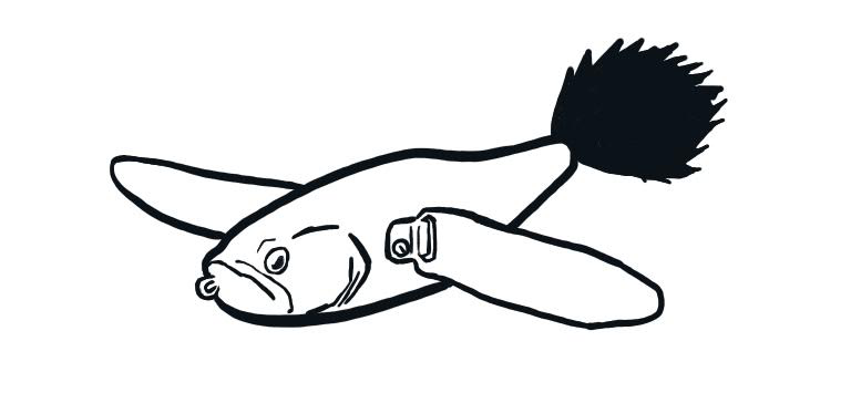 RAID】ビッグベイトタックルをレイド製品で揃えるために必要な情報